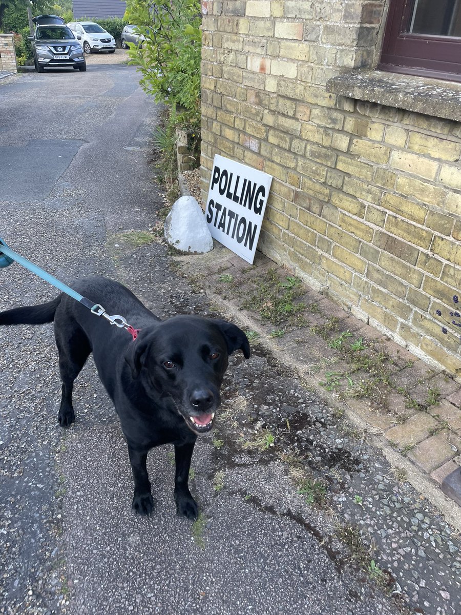 #dogsatpollingstation