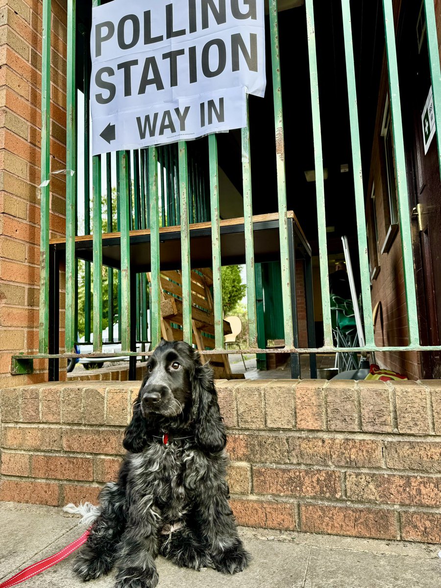 Simestone's tweet image. Voting, completed it mate!! ✖️🐾
#generalelection #pollstation
#ukgeneralelection #dogsatpollingstations