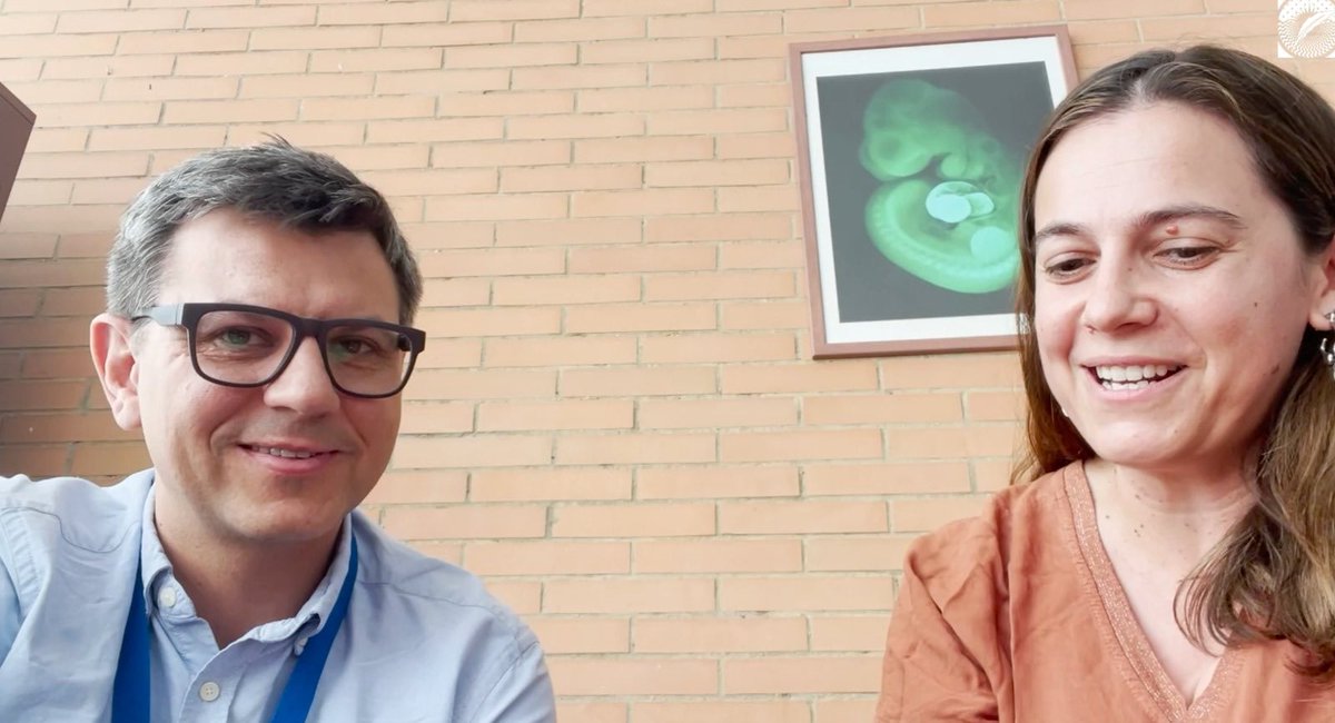 <a href="/fsanchezcabo/">Fatima Sanchez-Cabo</a> <a href="/CNIC_CARDIO/">CNIC</a> <a href="/SEBiBC_es/">SEBiBC</a> <a href="/amrojasmendoza/">amrojasm@bsky.social</a> <a href="/pablodeolavide/">Pablo de Olavide</a> <a href="/segenetica/">@SEGenetica</a> <a href="/SEBBM_es/">SEBBM</a> <a href="/CSICAndalExtrem/">CSIC Andalucía y Extremadura</a> <a href="/SOMM_alliance/">SOMM alliance</a> @Vale_Tornini <a href="/IntSocDevBiol/">International Society of Developmental Biology</a> <a href="/SocDevBio/">Society for Developmental Biology</a> <a href="/crisprscan/">Moreno-Mateos Lab</a> <a href="/GiraldezLab/">Giraldez Lab</a> <a href="/UCLA/">UCLA</a> <a href="/FDescubre/">Fundación Descubre</a> <a href="/SEBiolDev/">SEBD</a> #MeetTheSpeaker returns with/vuelve con Michal Winczuk 

🗣️"Applied science needs a strong foundation in basic science to understand how things work" &amp; how the results of his lab led to the creation of a spin off! 
Conoce al científico y la persona

🎥  youtube.com/watch?v=ij0wbf…