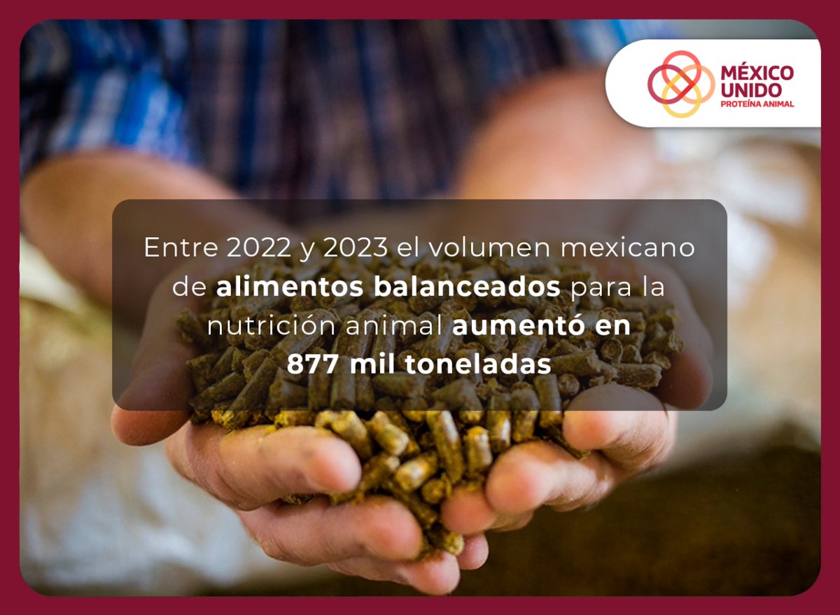México unido, proteína animal.