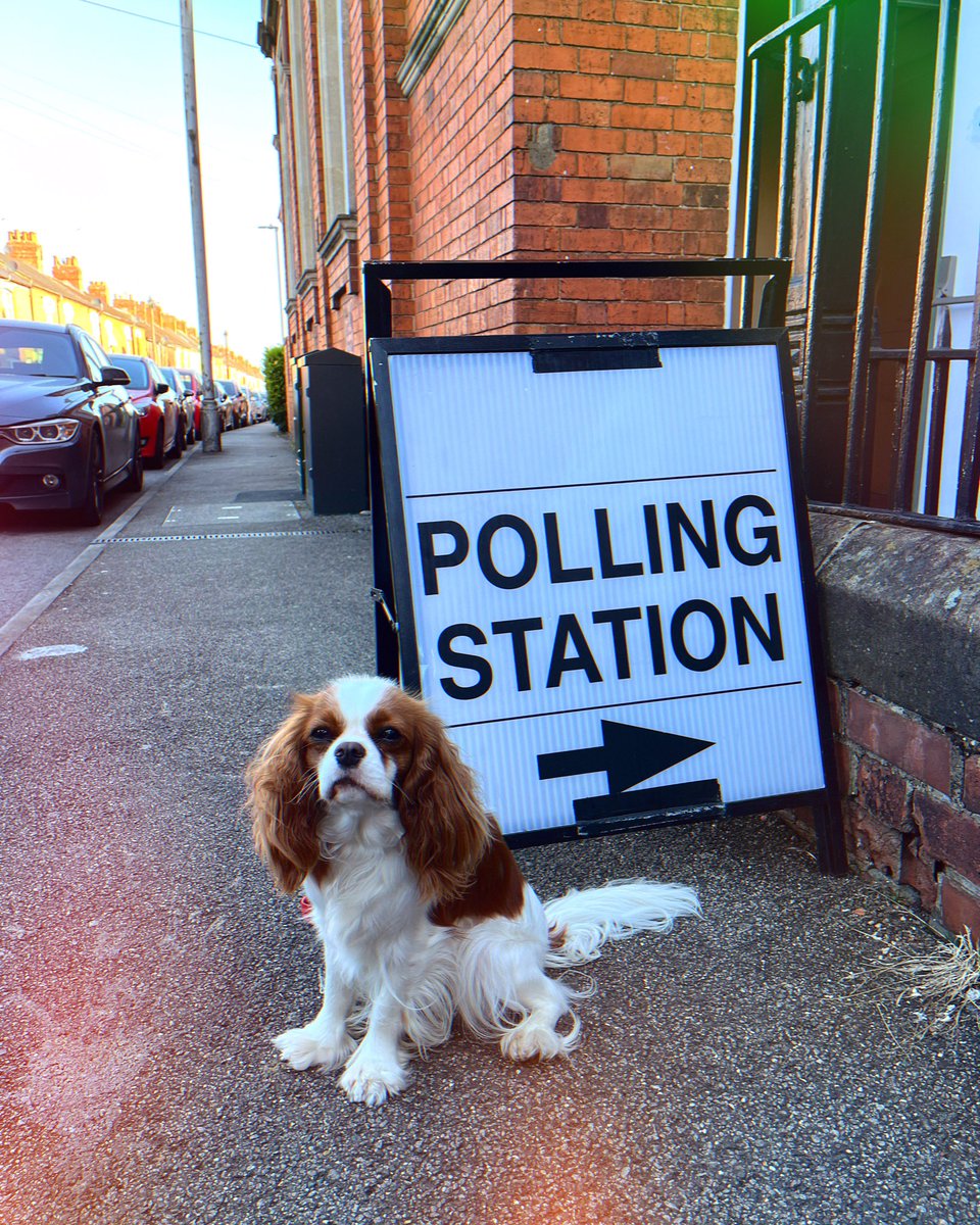 This one has cast their vote. They have plumped for the Labrador Dogocrats whose policies include; longer walks, tastier treats and more beaches. 
 #dogsatpollingstations
