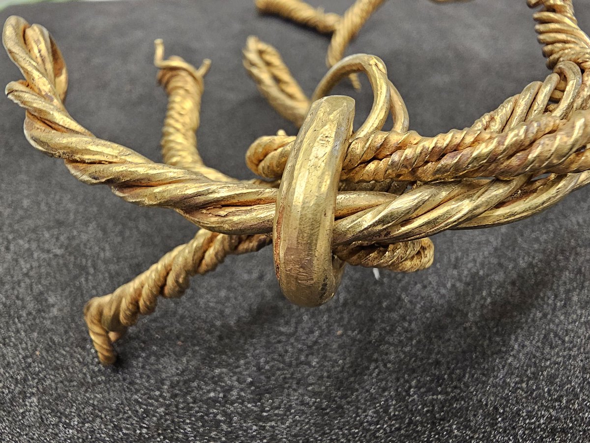 Tess_Machling's tweet image. HUGE thanks to Joe @pezzco &amp;amp; @PMAGCollections for allowing me to come look at Alrewas torcs. 

Potteries is lovely museum (not just Alrewas, but Leekfrith hoard plus Staffs hoard for those with fancy for &apos;newer&apos; 😉 gold!)

Perfect! 😊

#Archaeology #Torcs #StaffsTorcOdyssey