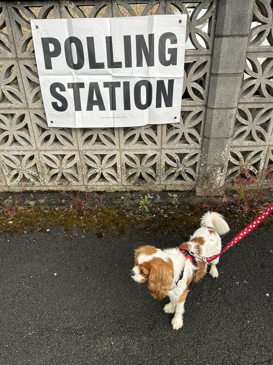 DavidPlatt14's tweet image. #dogsatpollingstations