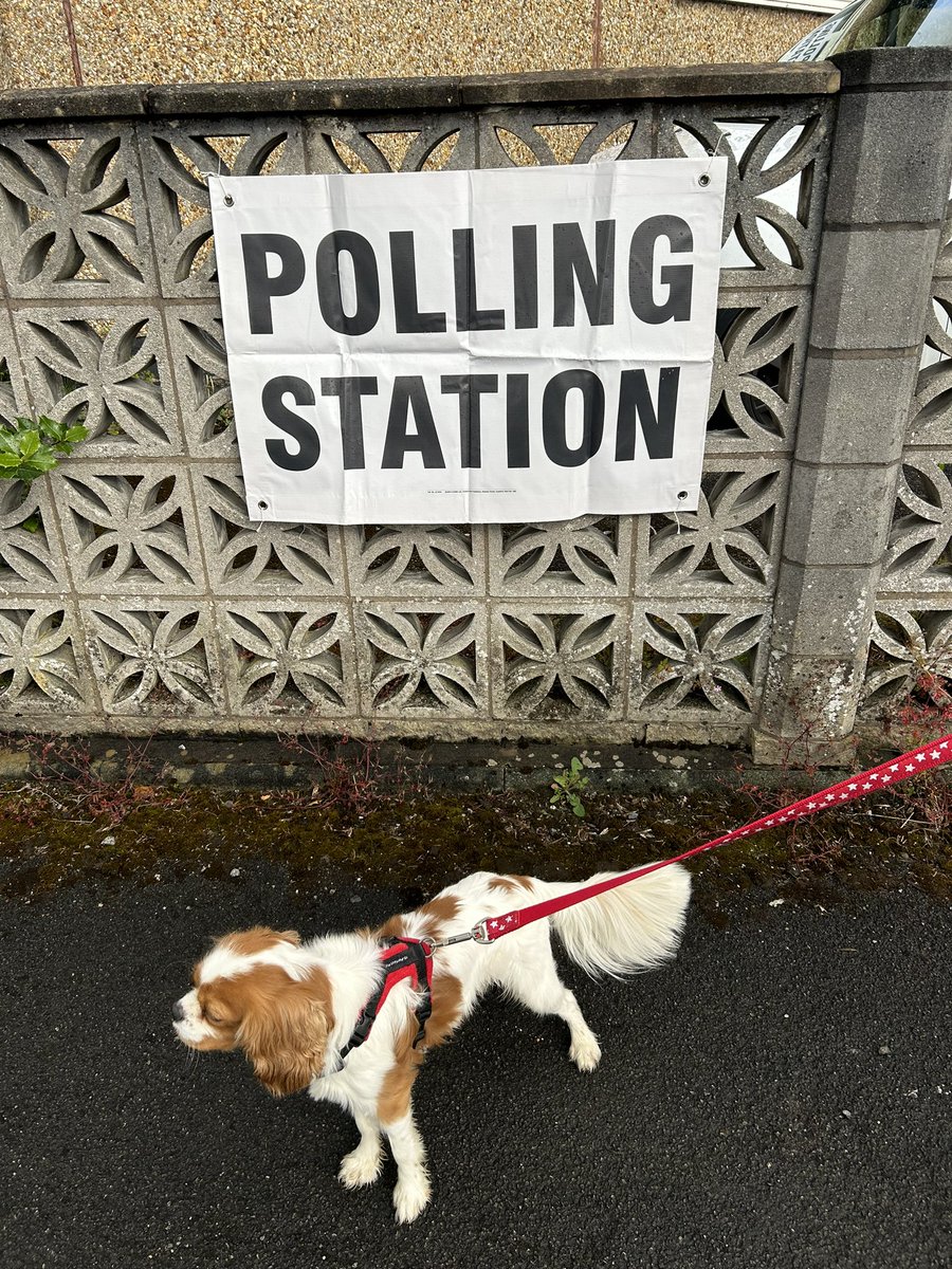DavidPlatt14's tweet image. #dogsatpollingstations