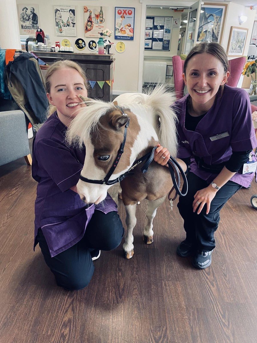 “Poppy”, our pet therapy pony. #wellbeing #happiness #eightyearsold￼ <a href="/AnchorLaterLife/">Anchor</a>
