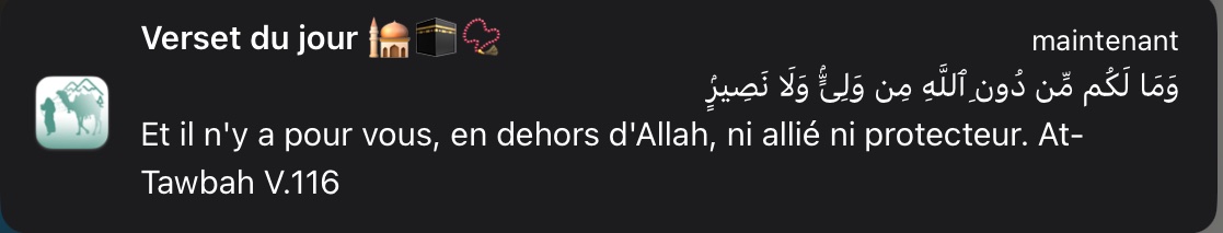 🇩🇿🇵🇸 (@ib9__4) on Twitter photo 