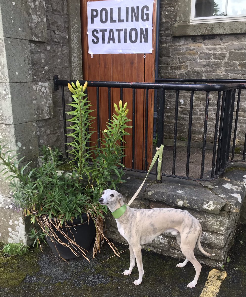 #DogsAtPollingStations <a href="/VotingDogs/">#DogsAtPollingStations</a>