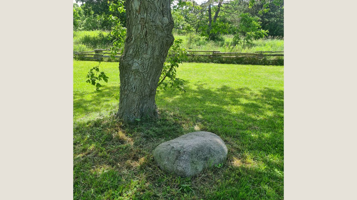 The perfect summer sit spot!

Where are your favourite summer sit spots in nature?

#greenteacher #summer #sitspot #environmentaleducation