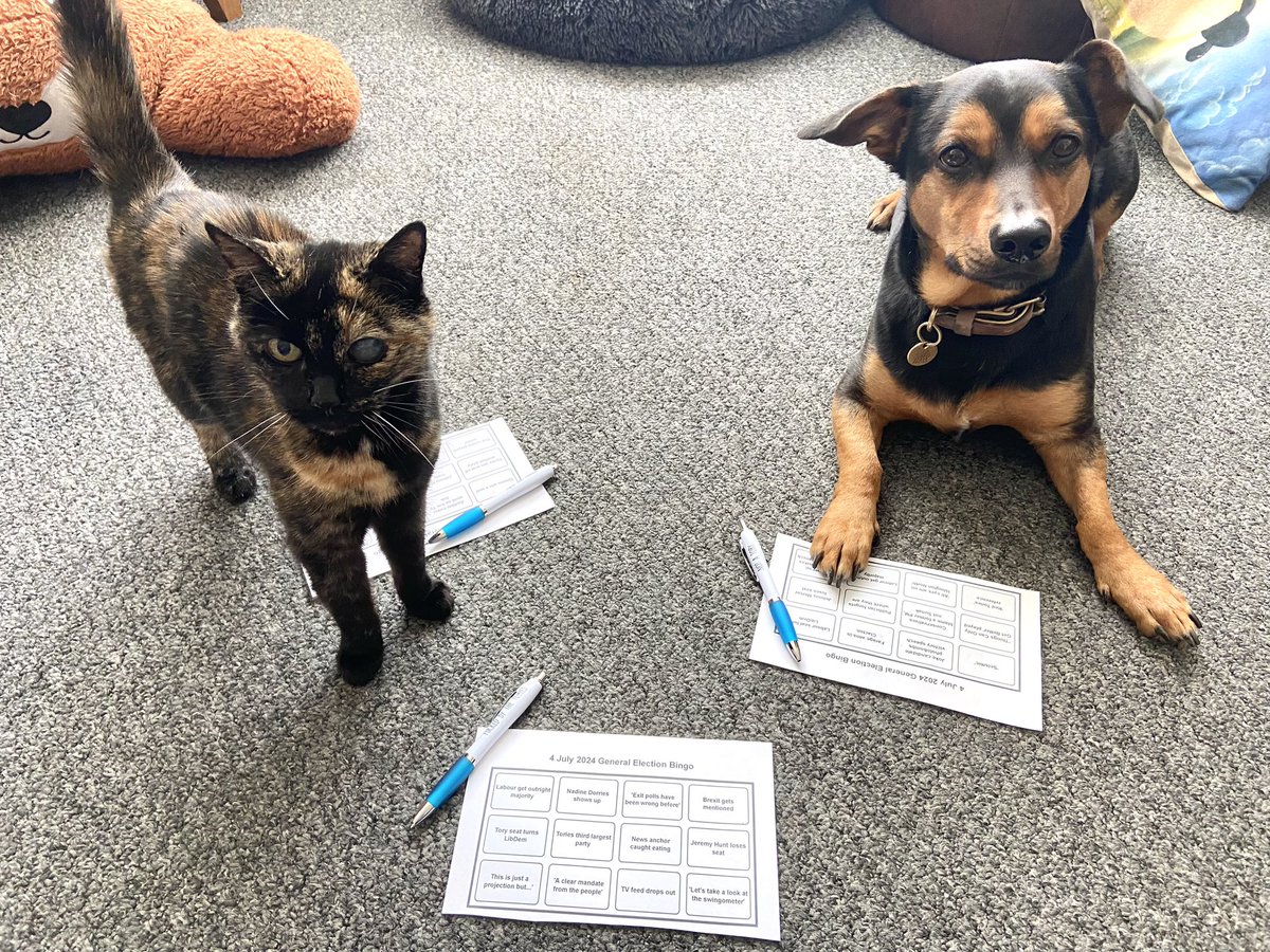 MelvisMakes's tweet photo. We’re ready 🤣

https://t.co/agqVEfakCO

#GeneralElection2024 #GeneralElection24 #electionbingo #gtto https://t.co/oW96KsZmmP