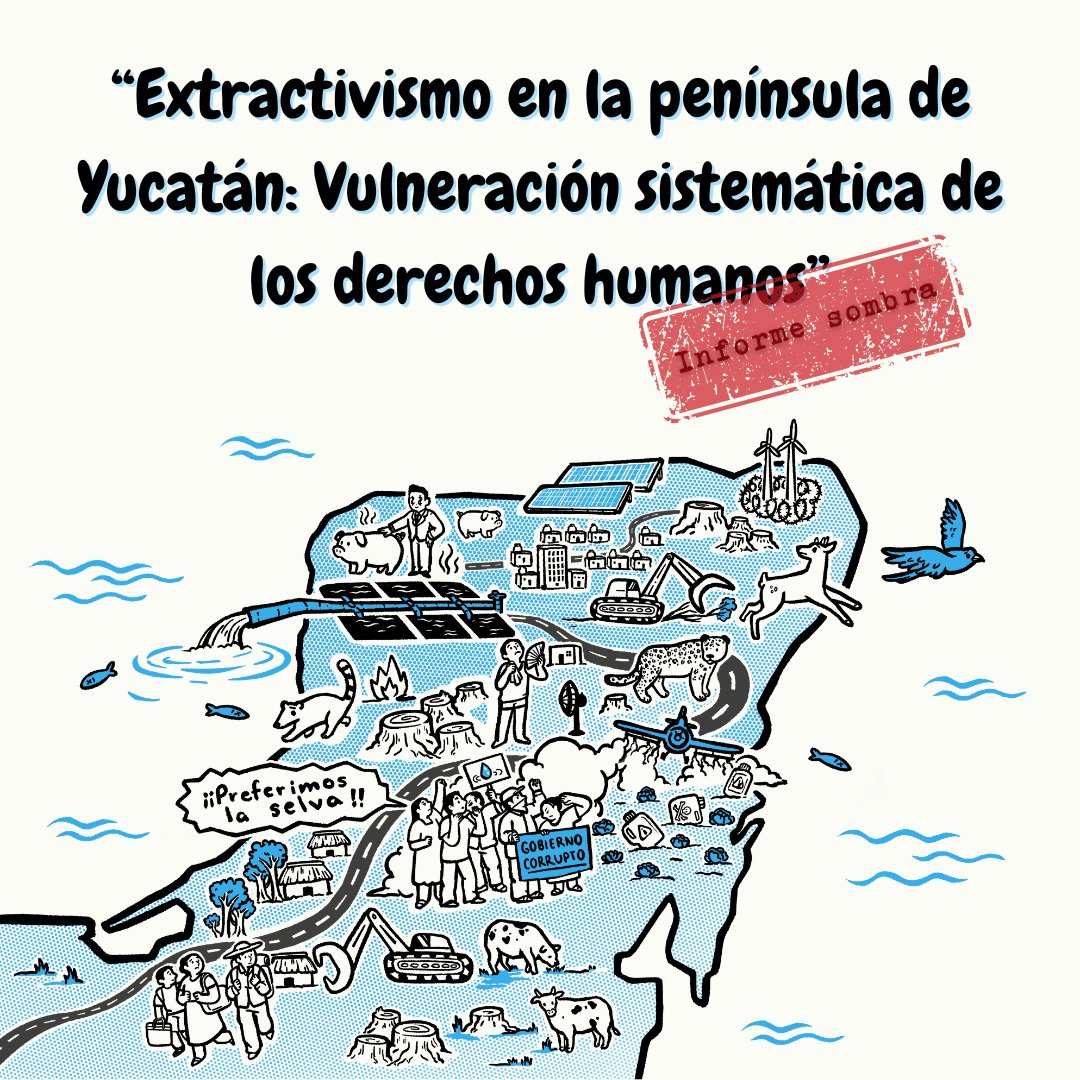 Consejo Civil Mexicano para la Silvicultura tweet media