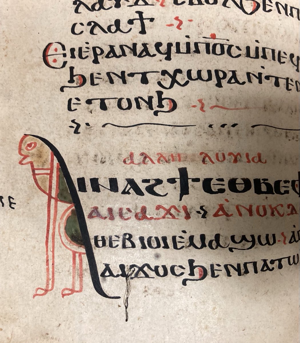 peter toth (@petetoth) on Twitter photo What kind of creature could this be in this 800-year old Coptic psalter <a href="/bodleianlibs/">Bodleian Libraries</a>
Share your thoughts for a late #Thursday motivation What kind of creature could this be in this 800-year old Coptic psalter <a href="/bodleianlibs/">Bodleian Libraries</a>
Share your thoughts for a late #Thursday motivation
