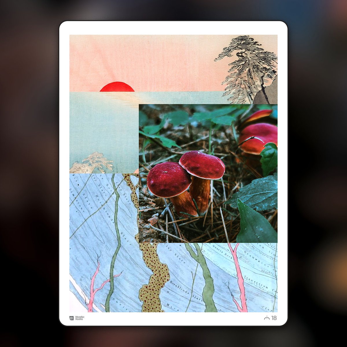 morphic additions - series two now available tweet media