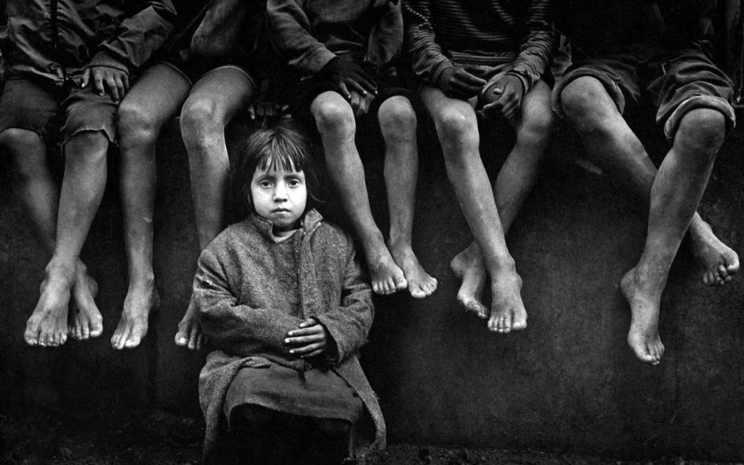 literland tweet media