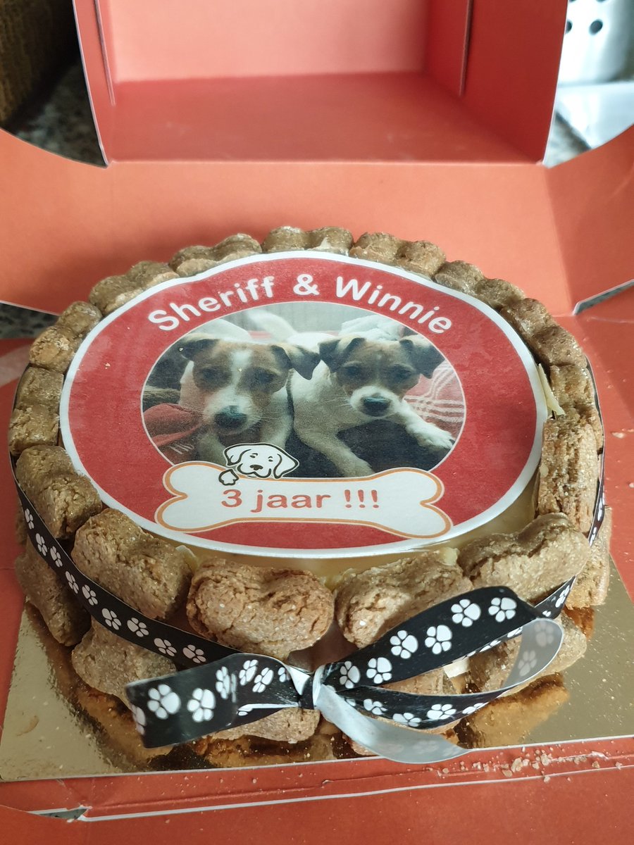 CSchoormans's tweet photo. En dan zijn onze kleine vlegeltjes alweer 3j oud❤❤ https://t.co/xI8Wo2SFjg