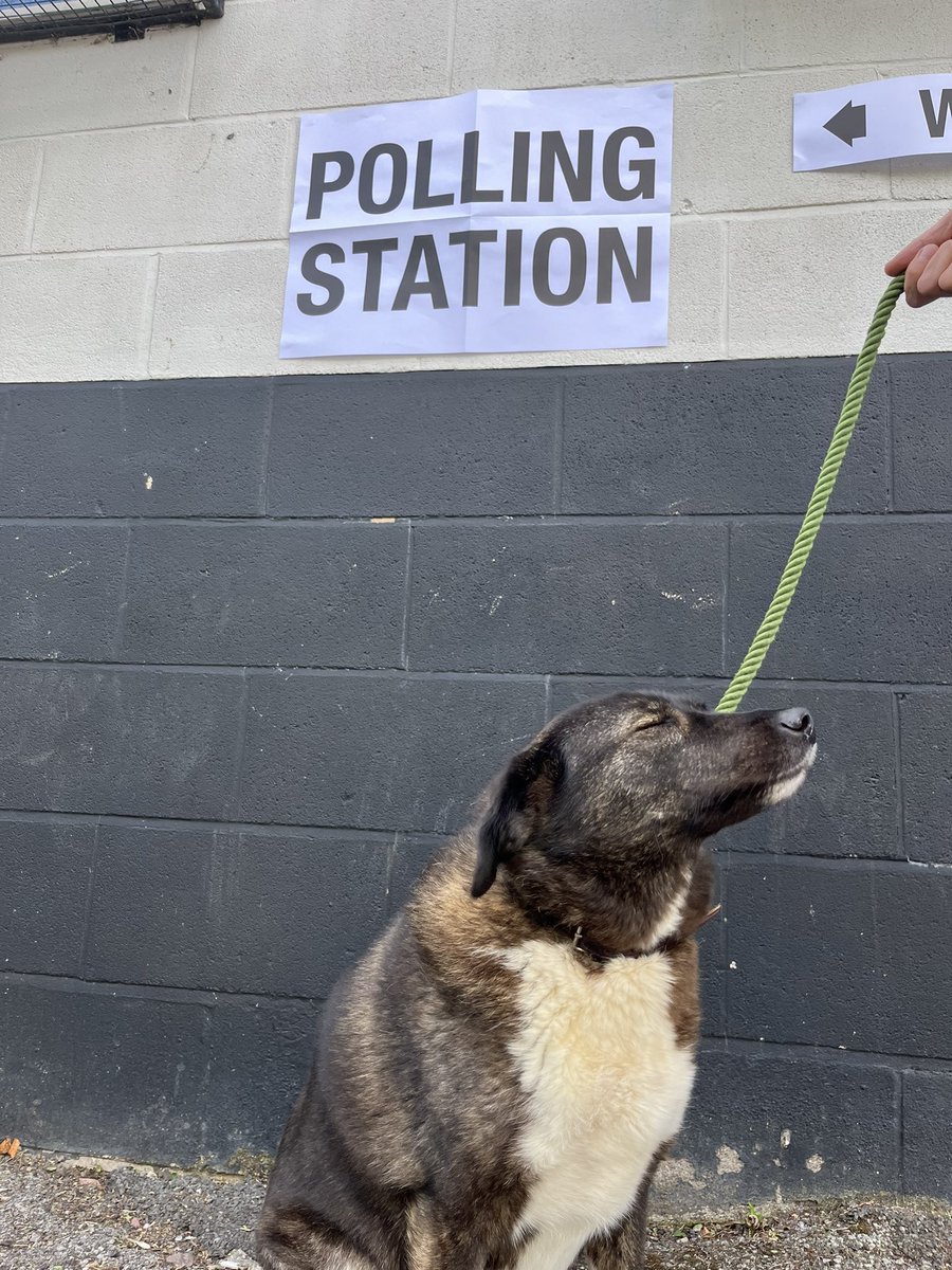 Mike7876's tweet photo. You can take your dog to the Polling Station, but you cannot make it vote https://t.co/Sl0nJiq1OP