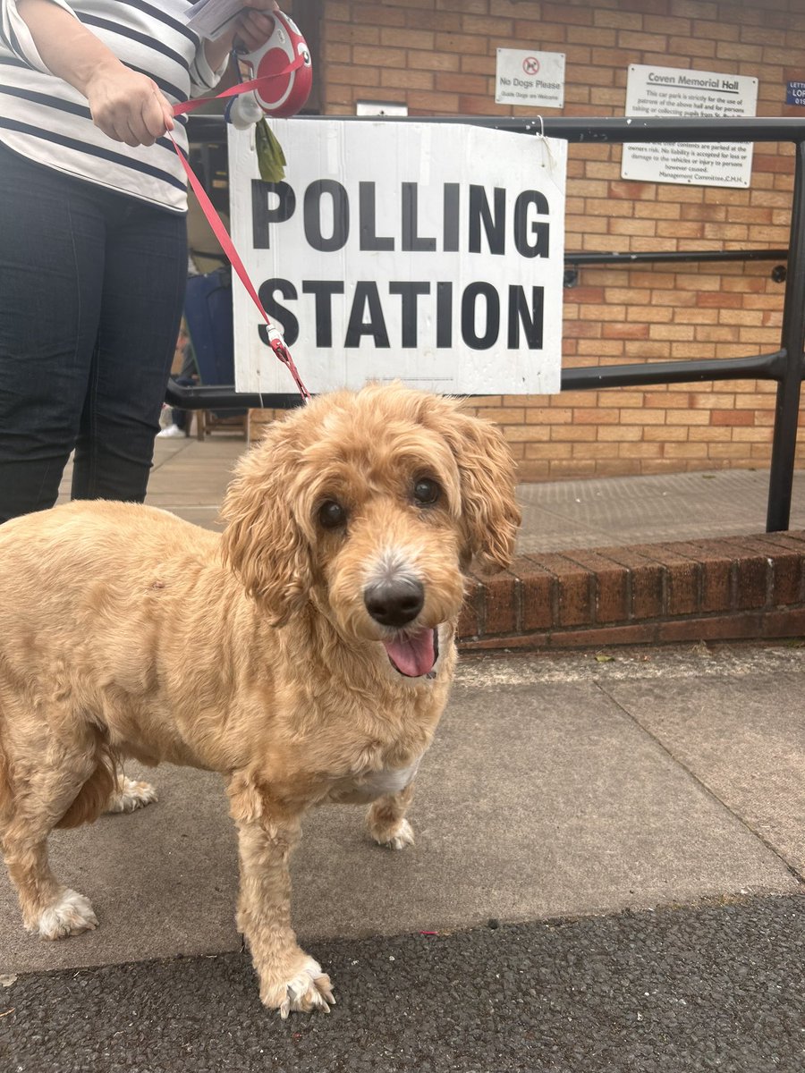 sueandbusta's tweet photo. @VotingDogs Busta voting for change, we prefer 5 years of possibility and hope than another 5 years of despair and anguish 🌹🌹🌹🌹🌹🌹#votingdogs
#VoteLabour2024 https://t.co/nJgeHttNZc