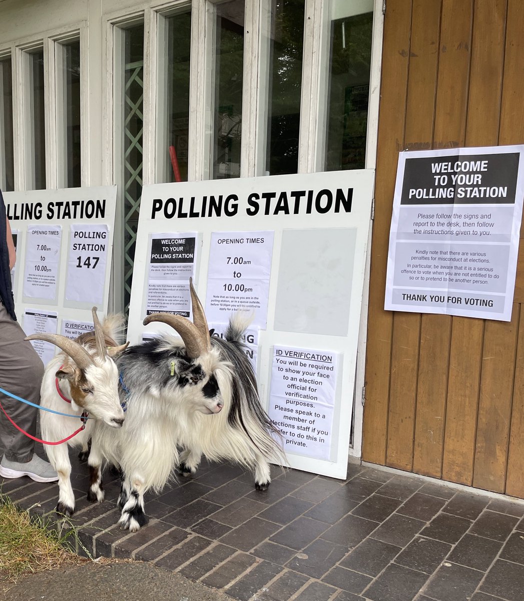 Why do people keep saying ‘those are weird looking dogs’ #dogsatpollingstations #goatsatpollingstations