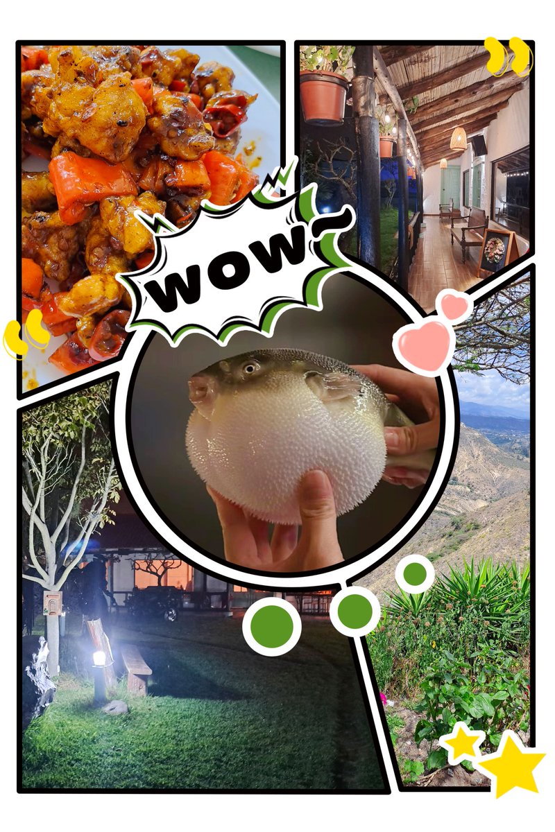 第一次吃河豚🐡哈哈像青蛙肉。