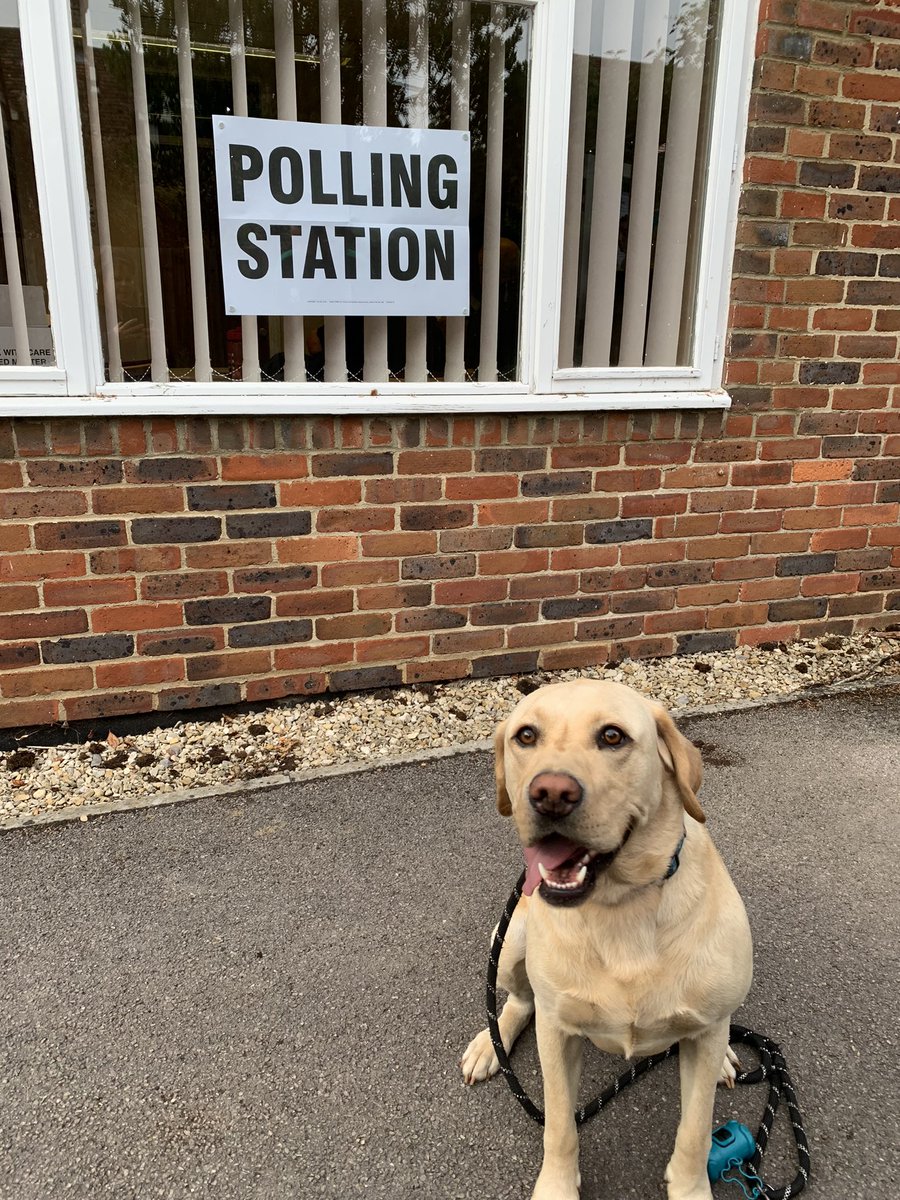 KarenByer's tweet photo. First General Election for Tuffers - good boy! 🐶#dogsatpollingstations https://t.co/1LdBCU8UiY