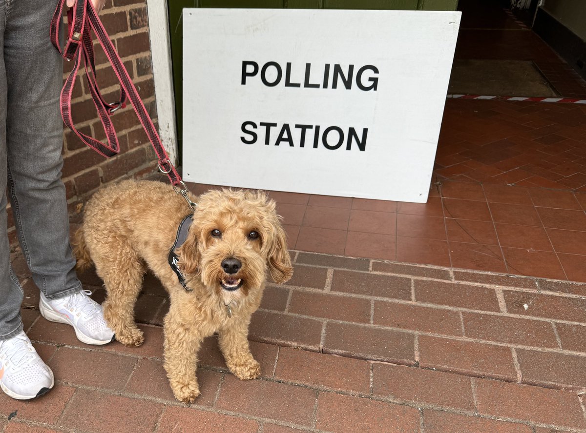 APYatesWrites's tweet photo. #dogsatpollingstations https://t.co/Gy5dAV92xf