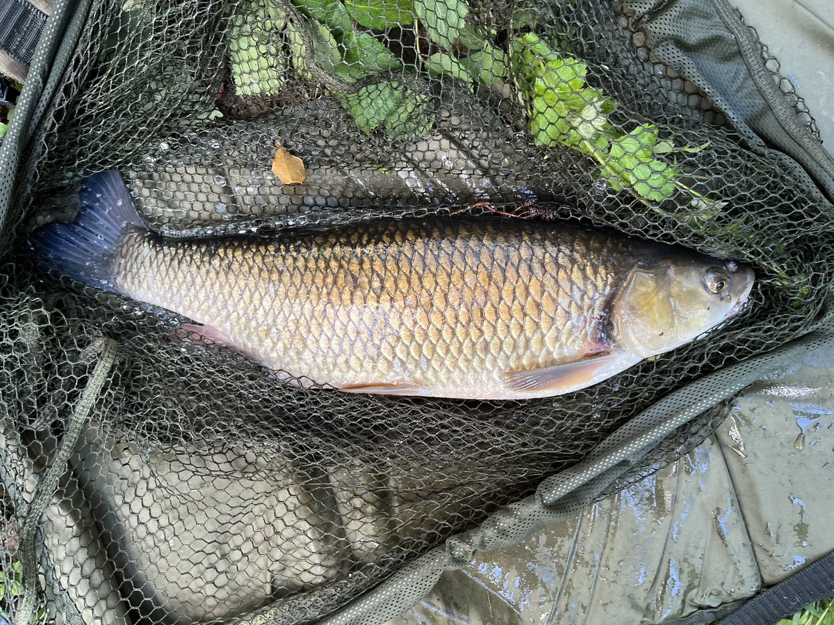 Richmond and District Angling Society tweet media