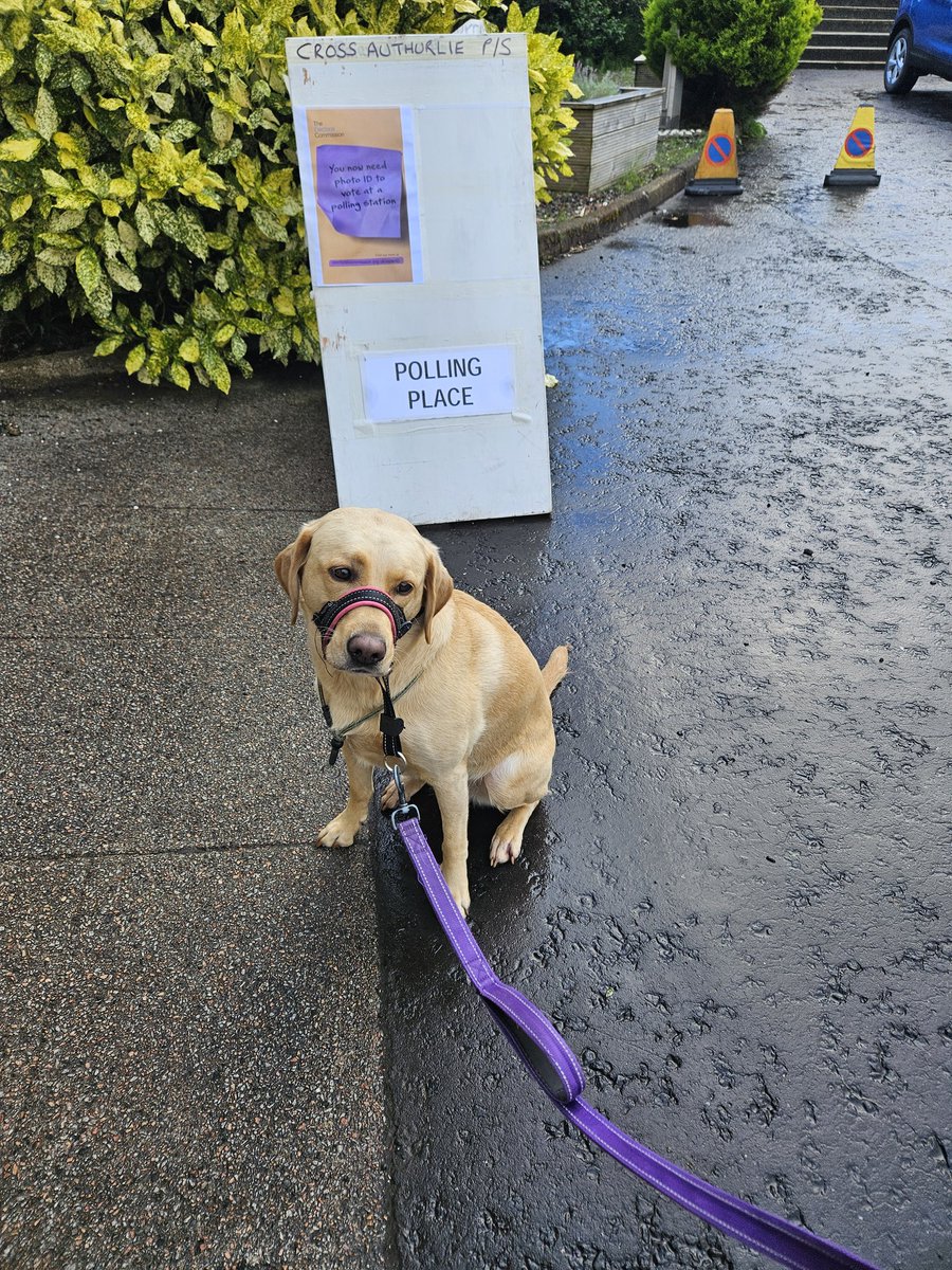 Pauline Sim tweet media