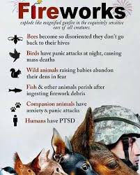 objkshn's tweet photo. We know fireworks causes combat veterans and animals emotional distress. We know fireworks cause fires.  Then we launch fireworks.   A bit insensitive, eh?  We can do drones now. Don’t need trauma-inducing booms that start fires. https://t.co/ym9JvADkZG