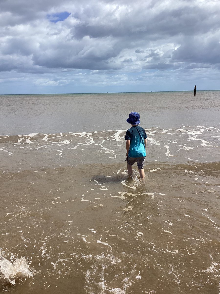 Willow Tree Class tweet media