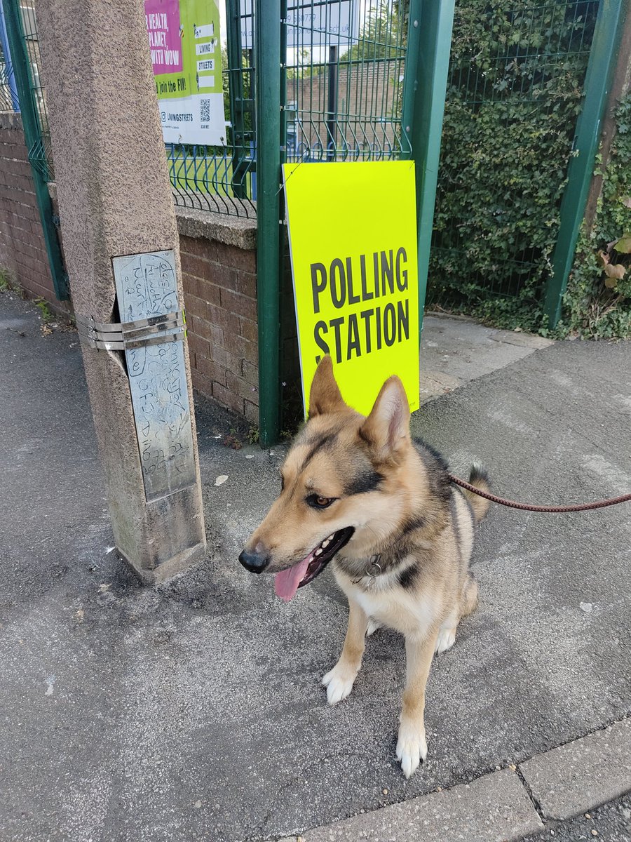 #dogsatpollingstations