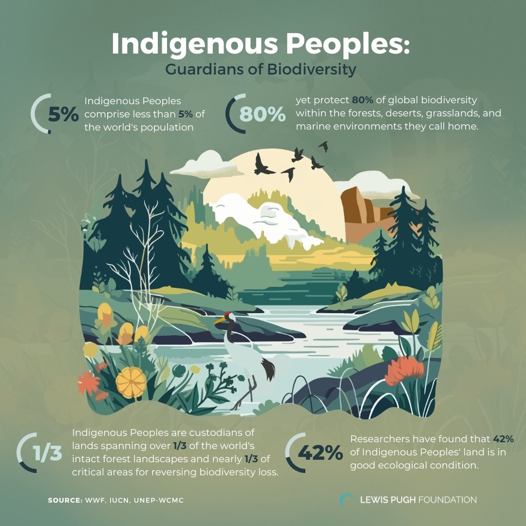 Indigenous peoples are important stewards of Earth’s biodiversity, holding wisdom and culture that is key to protecting our planet. We must cherish it 🌍✨🌺

Learn more in <a href="/LewisPughFDN/">Lewis Pugh Foundation</a>'s infographic 👇