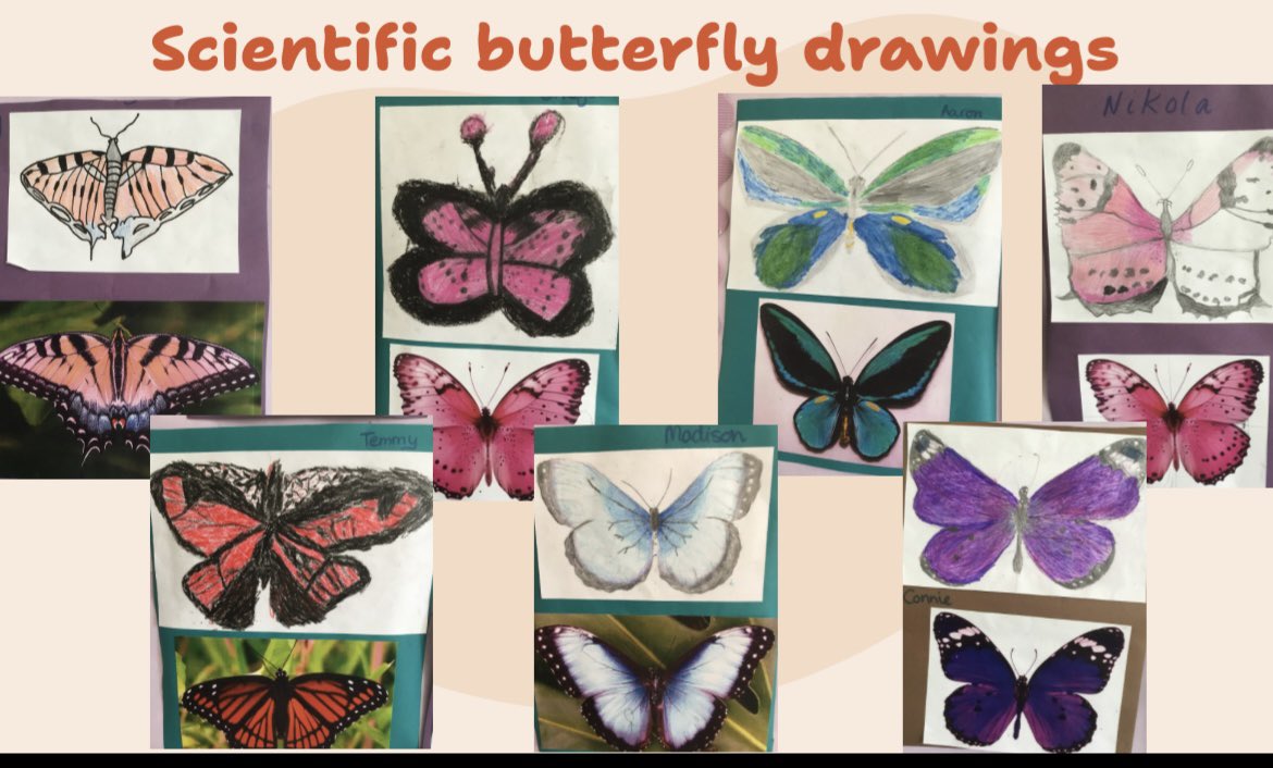 Skene Square School tweet media