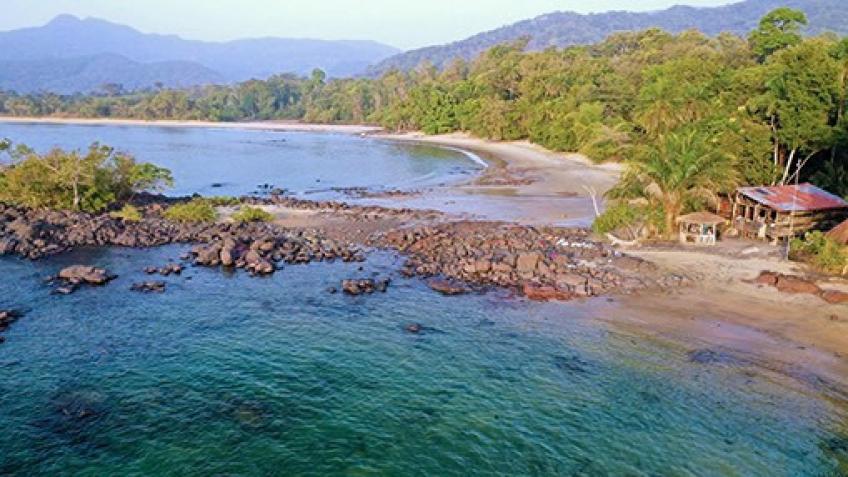 JohnsonOwners's tweet photo. Help us protect Sierra Leone's Black Johnson Beach! Pristine rainforest, wetlands &amp; endangered species are at risk from a proposed Chinese fish harbour. #SaveBlackJohnsonBeach #NoFishFarm https://t.co/cVY7fb5Fcs