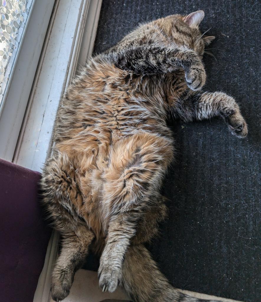 Braintech PC tweet media