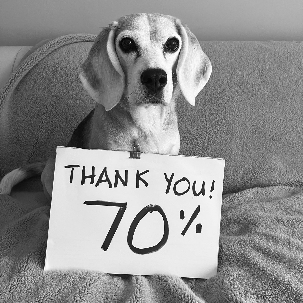 Winnie’s road trip to the oncology vet centre starts on Sunday. Thank you so much to all who have helped her get this far! 

gofundme.com/support-winnie…