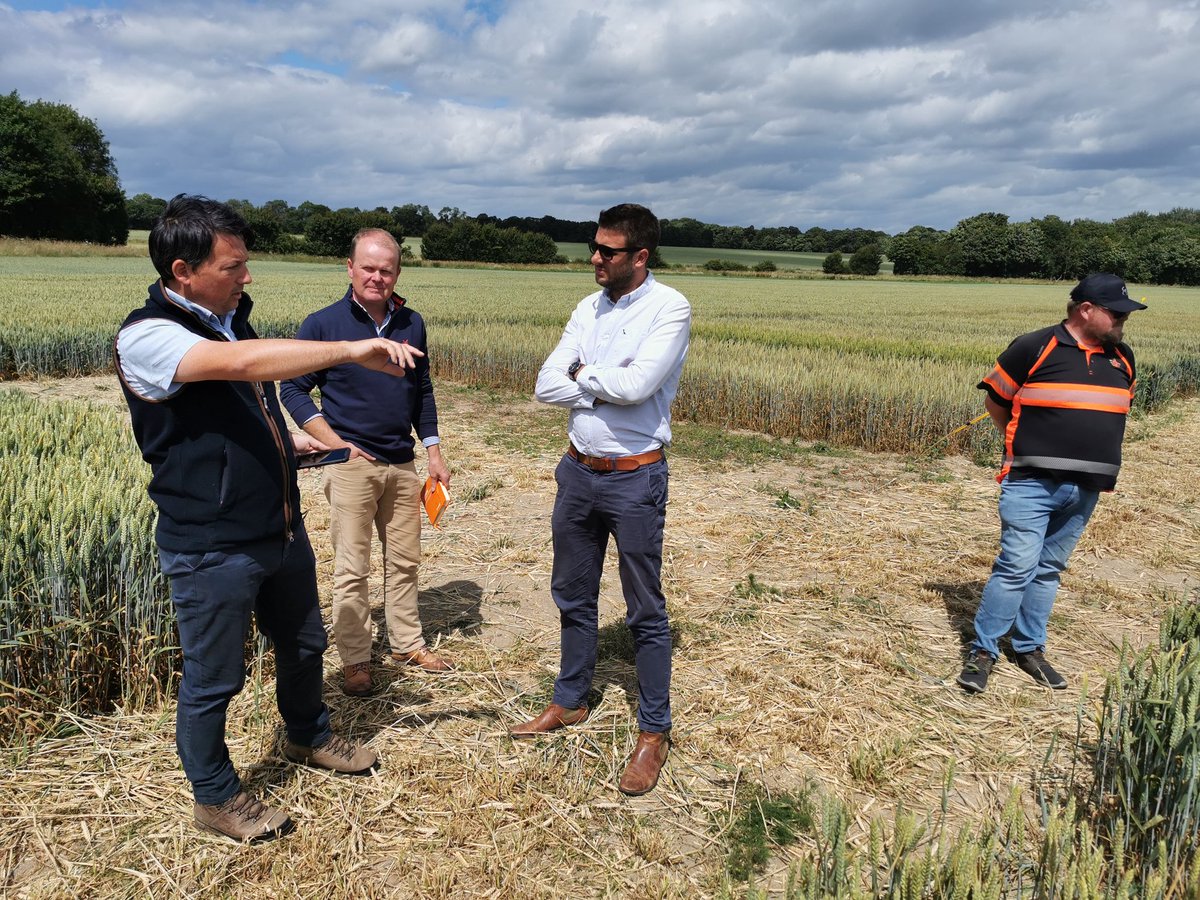 Philip Case tweet media