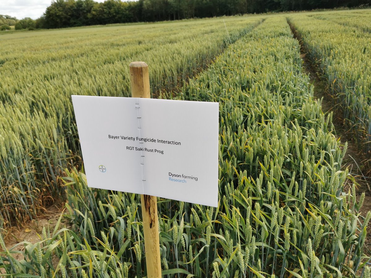 Philip Case tweet media