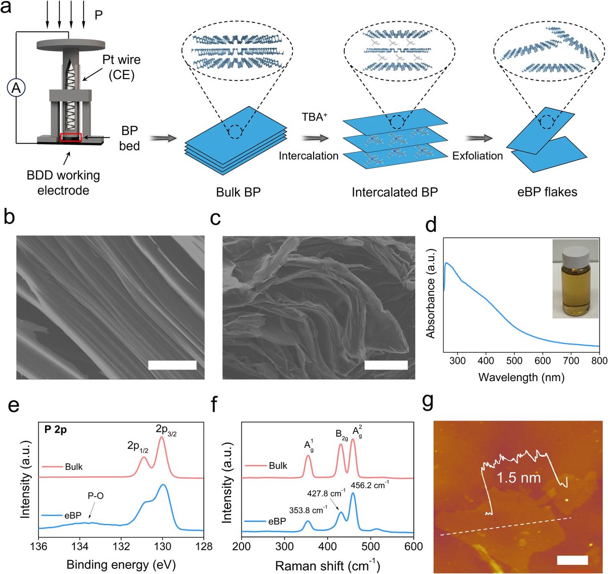 New paper in #npj2dmaterials <a href="/Nature_NPJ/">npj Journals</a>: Large-area phosphorene for stable carbon-based perovskite solar cells by Purevlkham Myagmarsereejid et al. rdcu.be/dMMuS