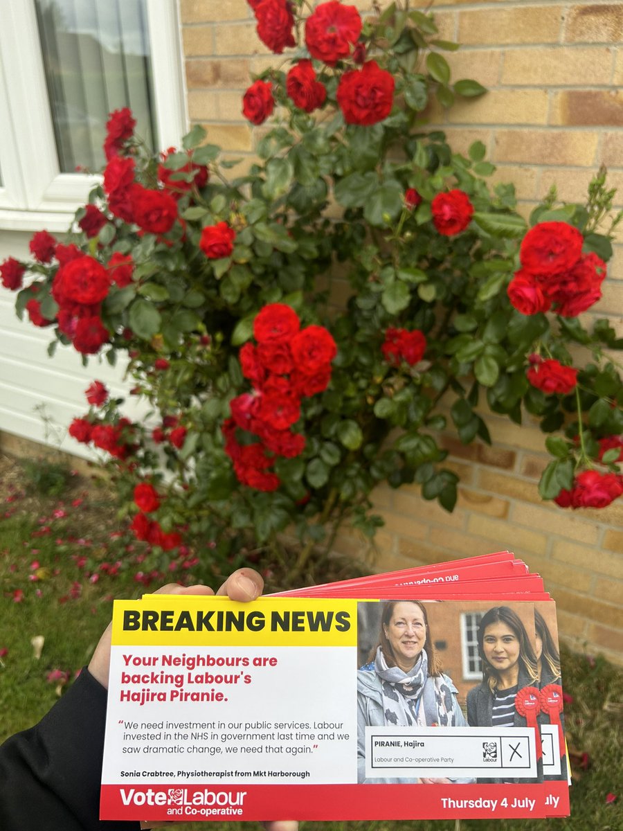 Hajira Piranie tweet media