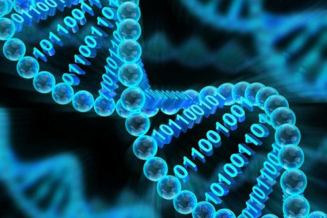 giazinhaa's tweet image. ⌕: #studytwt &amp;amp; #studytech

Oi eu sou a Geovanna ! 
  ✩ ⌕: #studytwt &amp;amp; #studytech 
  ✩ ela/dela, 2003.
  ✩ noturna , tentando ser de exatas
  ✩ cursando ciência da computação 
  ✩ futura Bióloga computacional. 
 
↺/♡ = moots :)