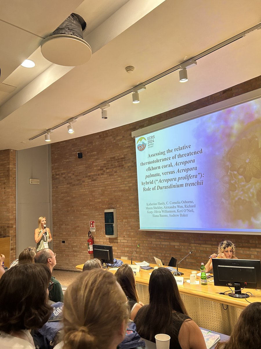 CoralReefFuture's tweet photo. #ECRS2024 Day 3 Update!
Katherine Hardy and lab alumni Brad Weiler gave great presentations this morning! Katherine discussed energetic impacts to Acropora species of hosting Durusdinium trenchii, and Bradley shared his data on diseased coral pathobiomes. https://t.co/agE91YAWp5
