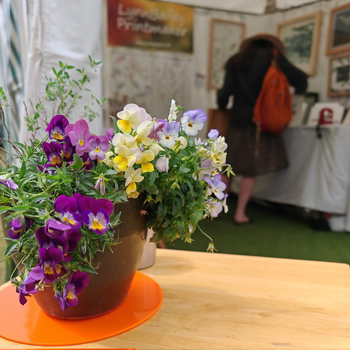 Lynn Bailey tweet media