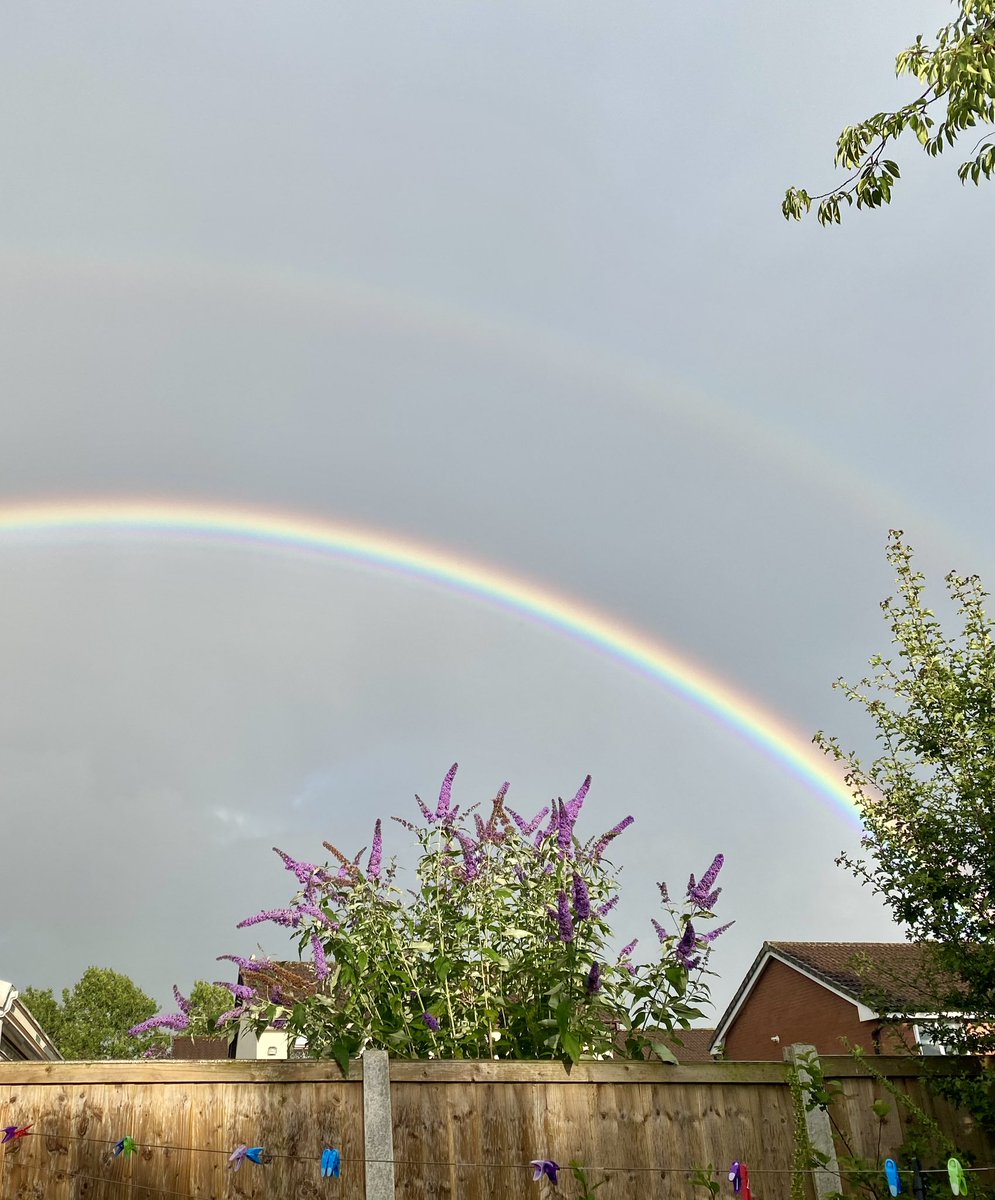 jojasca's tweet image. The back garden is really going overboard with the symbols of hope this evening 🌈 
Make sure you go and vote if you haven’t already done so!