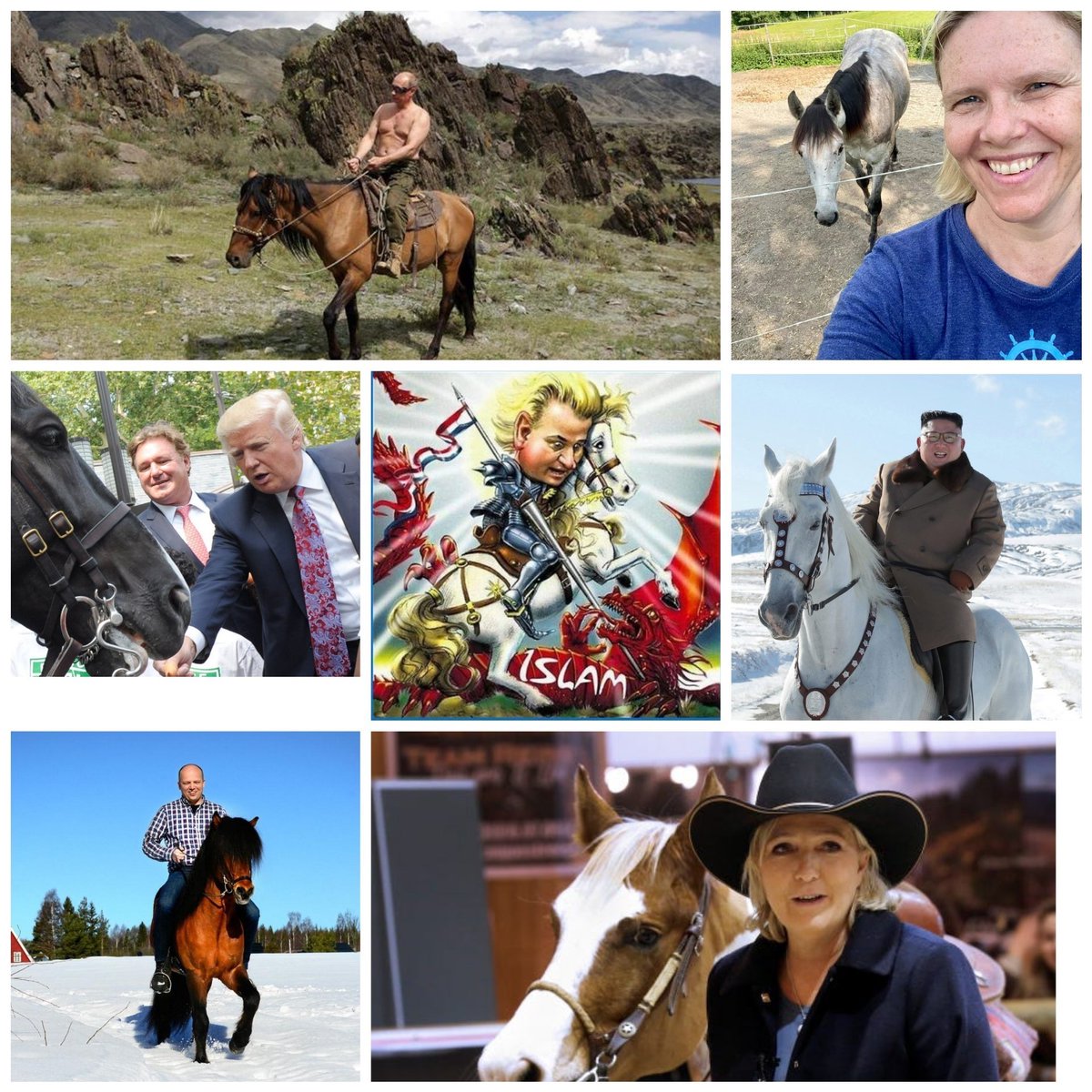 Hester finnes ikke tweet media