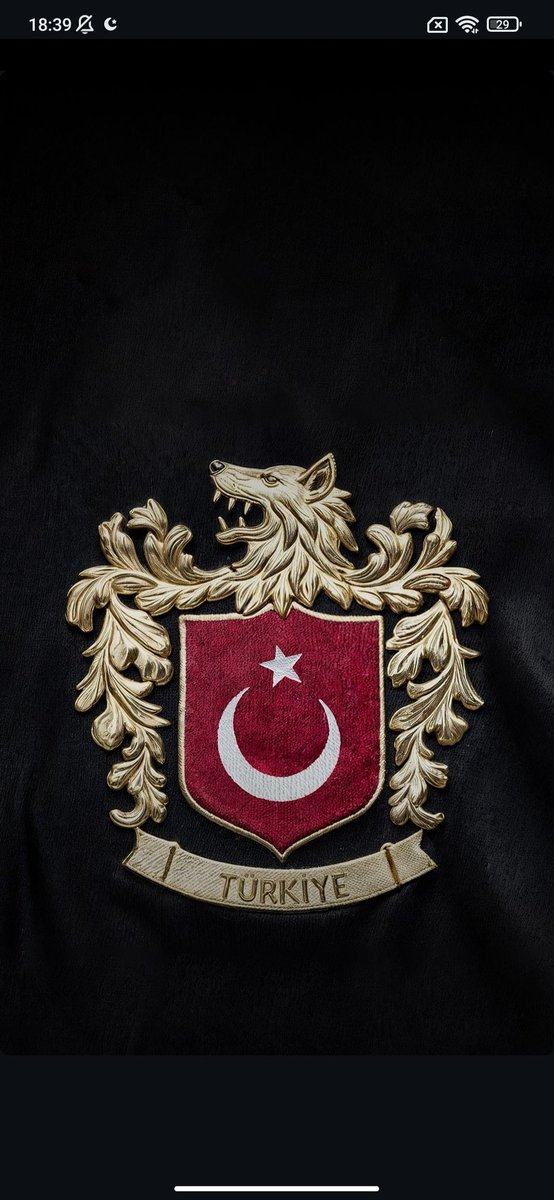 ahmetbagda's tweet photo. #BozkurtDevletArmasıOlsun #Bozkurt #UefaMafia #Hollanda #MerihDemiralYalnızDeğildir #Turks https://t.co/U0PMlPieda