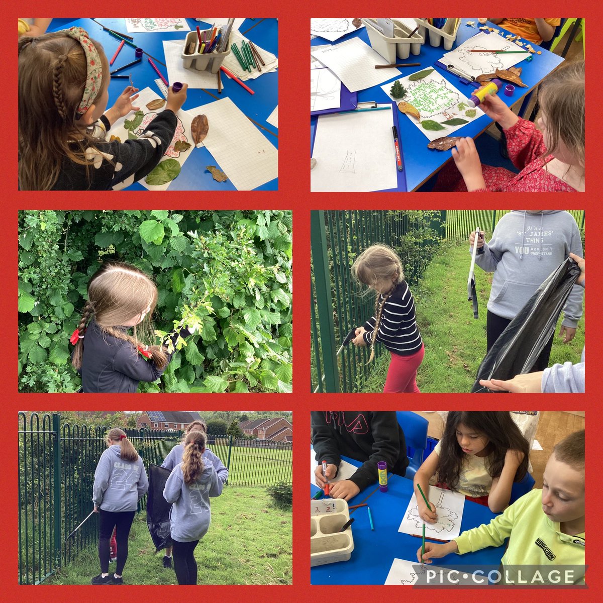 MrsBond@StJamesCE (@mrsbondstjames) on Twitter photo We enjoyed our STEM learning in year 2 this week. We loved looking at the beautiful picture books and used them to help us learn more about conservation. We enjoyed tidying up our woodland area and completed artwork, letters and posters. <a href="/StJamesCEsth/">@StJamesCE</a> We enjoyed our STEM learning in year 2 this week. We loved looking at the beautiful picture books and used them to help us learn more about conservation. We enjoyed tidying up our woodland area and completed artwork, letters and posters. <a href="/StJamesCEsth/">@StJamesCE</a>