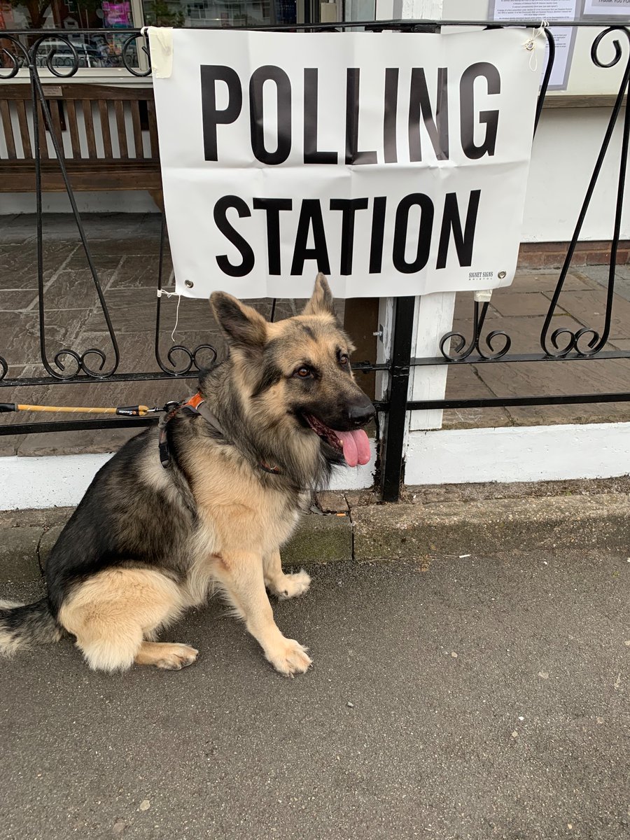 Benji is urging you all to use your vote wisely! 🐾

<a href="/VotingDogs/">#DogsAtPollingStations</a> 
#DogsAtPollingStations
