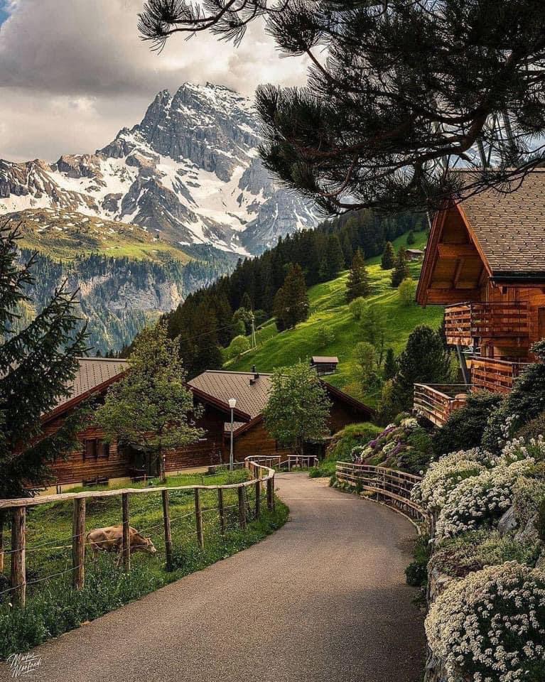 SeascapeNature's tweet photo. Mürren, Switzerland 🇨🇭 https://t.co/owoud3W6zA