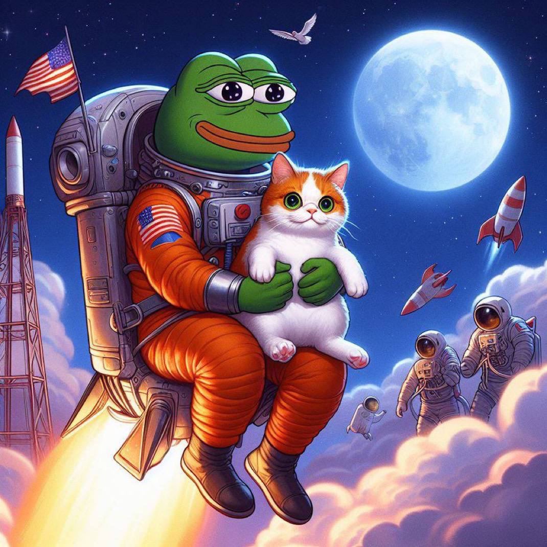 MuffinCTO's tweet photo. @mememe69696969 Can $muffin be the first cat on mememe? Multi-chain is the future. Papa Furie will be over the moon if accepted. https://t.co/ZsWS7LqqF0