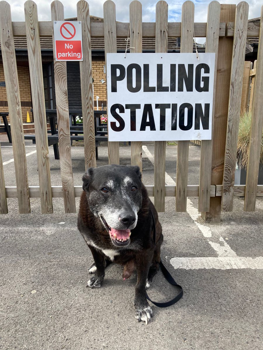 TotallyLocal_LB's tweet image. Have you voted yet? If not get out and vote! 
“Voting is the expression of our commitment to ourselves, one another, this country, and this world.” (Sharon Salzburg)
Here's my dog to inspire you!  🐶🐾
#dogsatpollingstations #generalelectionuk #GE2024