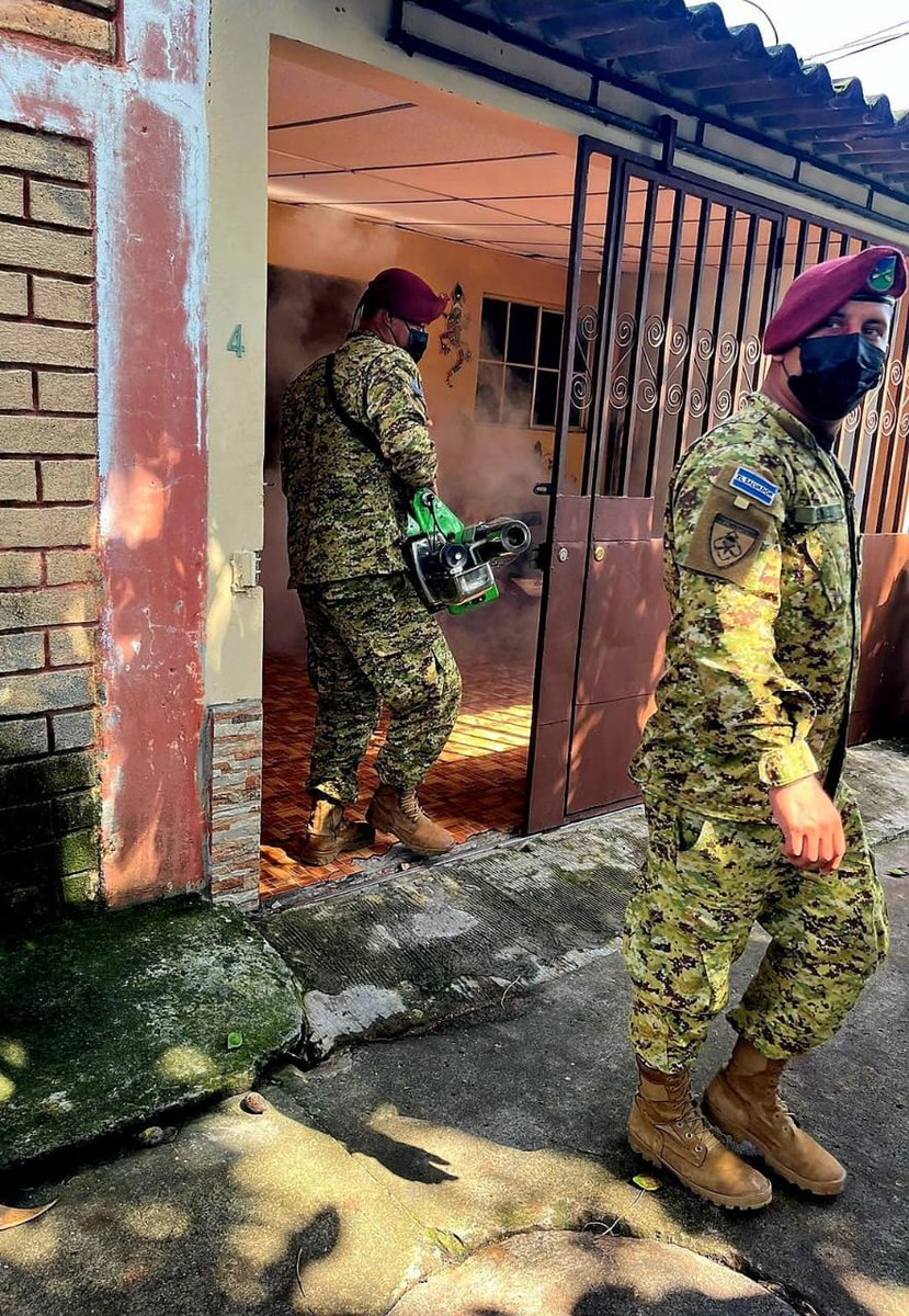 politicaestereo's tweet photo. #ContraElDengue ||  La residencial Alta Vista, Tonacatepeque, San Salvador Este, también tuvo una jornada de fumigación y abatización contra el dengue este día. https://t.co/yYXWs7gfSX